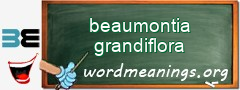 WordMeaning blackboard for beaumontia grandiflora